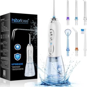H2O Oral Dental Flosser
