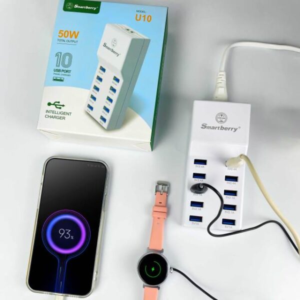Smartberry U10 50W Charger