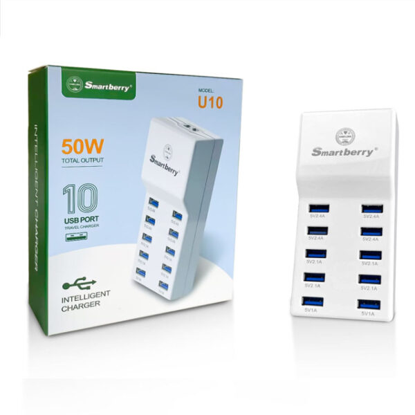 Smartberry U10 50W Charger
