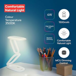 Portable Mini Desk Lamp