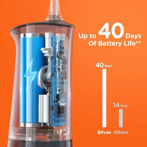 Bitvae Oral Teeth Flosser
